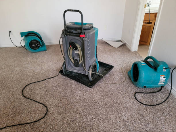 Best Water damage restoration specialists  in Pleasanton, TX