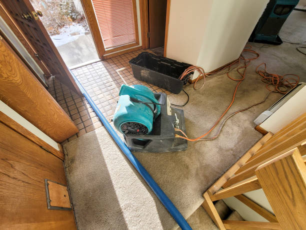 Best Residential water damage restoration  in Pleasanton, TX