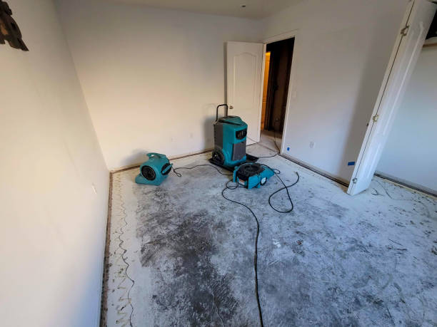 Best Water damage restoration mold remediation  in Pleasanton, TX