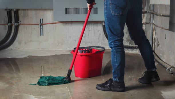 Best 24/7 water damage repair  in Pleasanton, TX