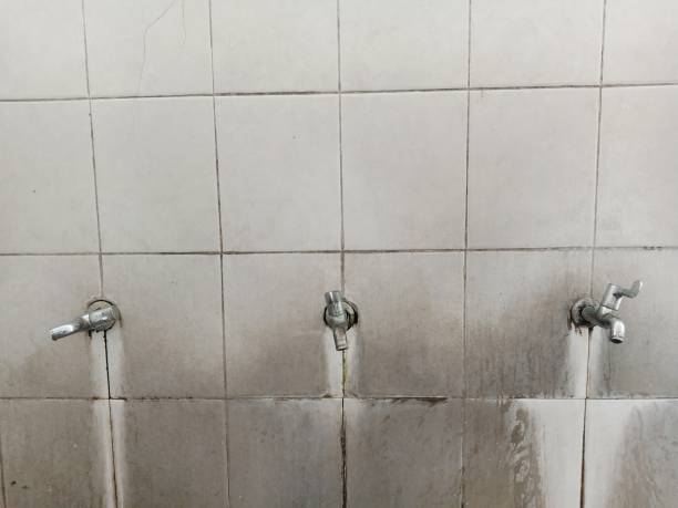 Best Emergency water extraction  in Pleasanton, TX