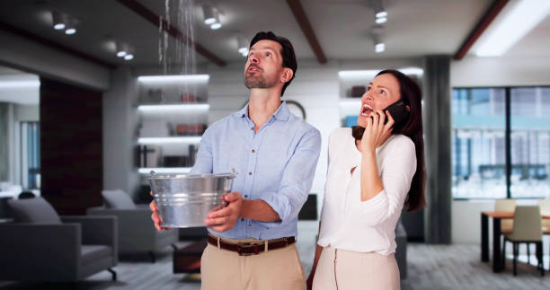 Best Basement water damage restoration  in Pleasanton, TX