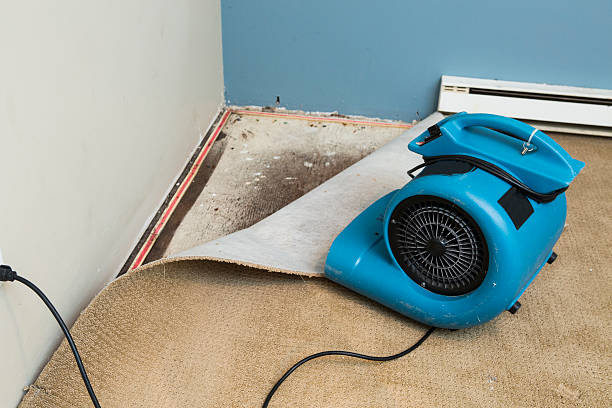 Best Fire Damage Restoration  in Pleasanton, TX